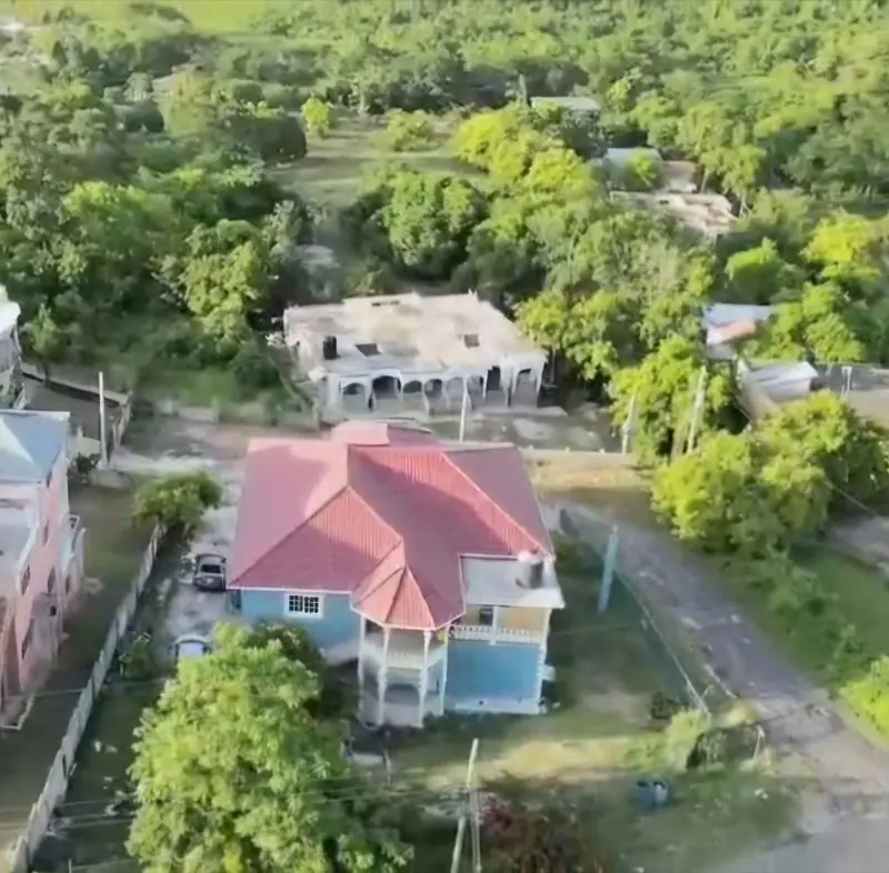 Aerial view looking down over the trees onto the red roof and the lot